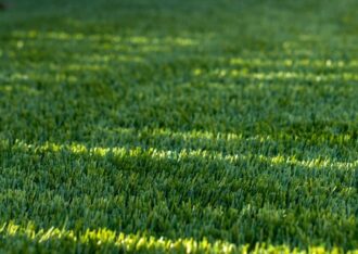 thumb of Artificial Turf Terminology Explained: A Homeowner’s Guide To Turf Specs In College Station