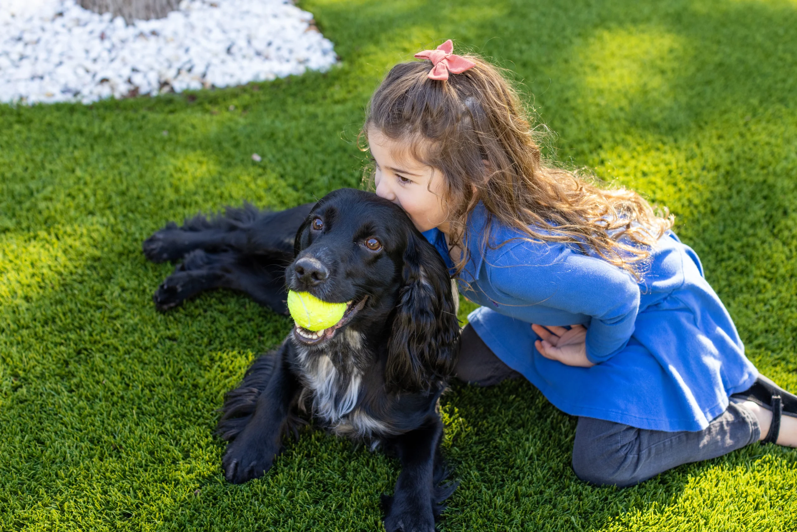Pet Turf
