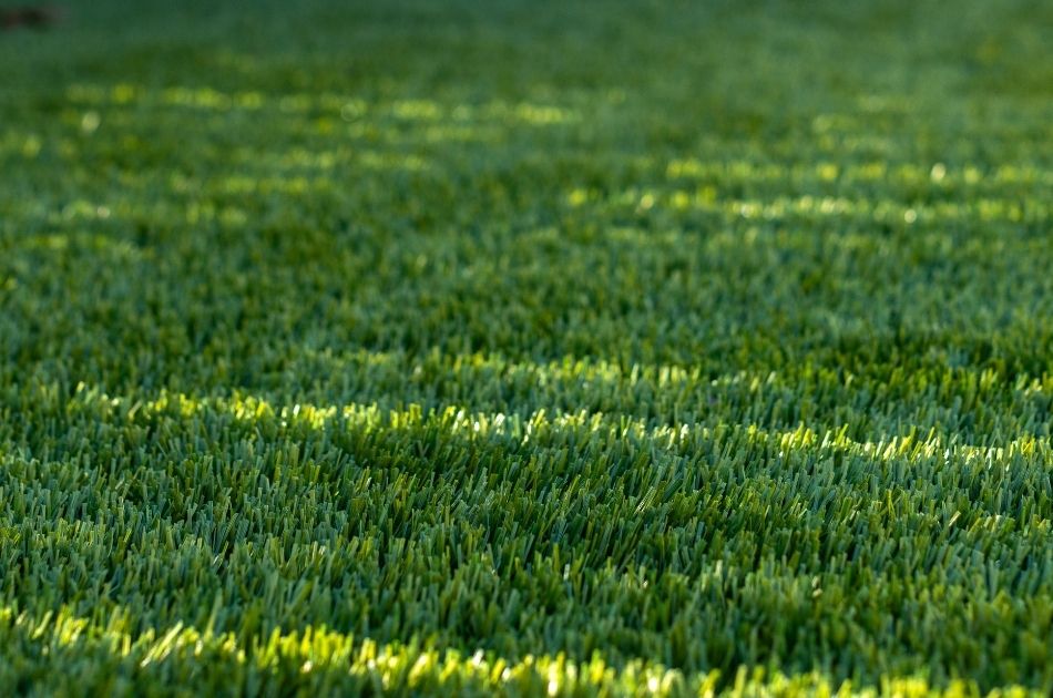 Artificial Turf Terminology Explained: A Homeowner’s Guide To Turf Specs